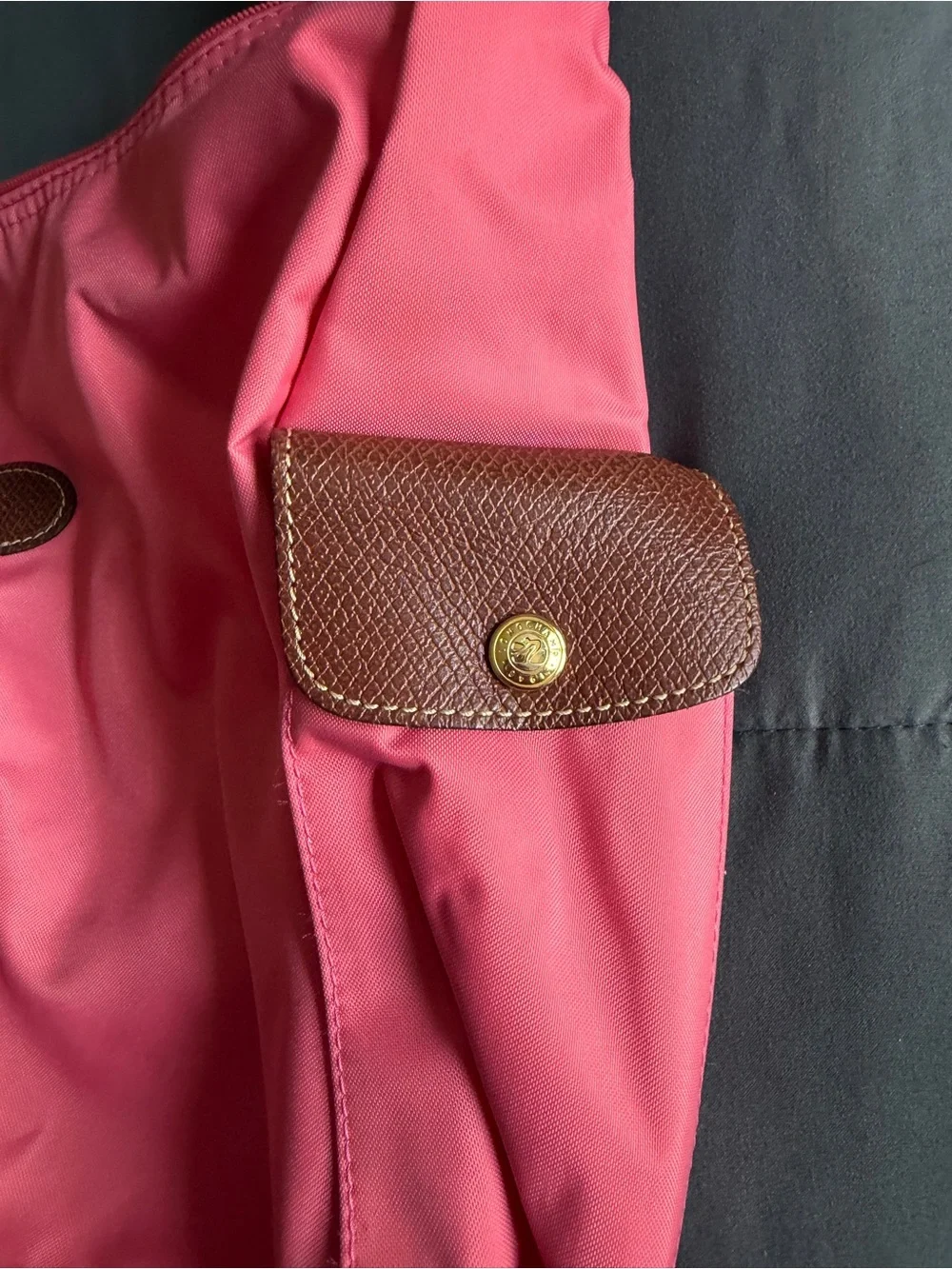 Longchamp Pink Nylon Hobo with Brown Trim and Adjustable Strap